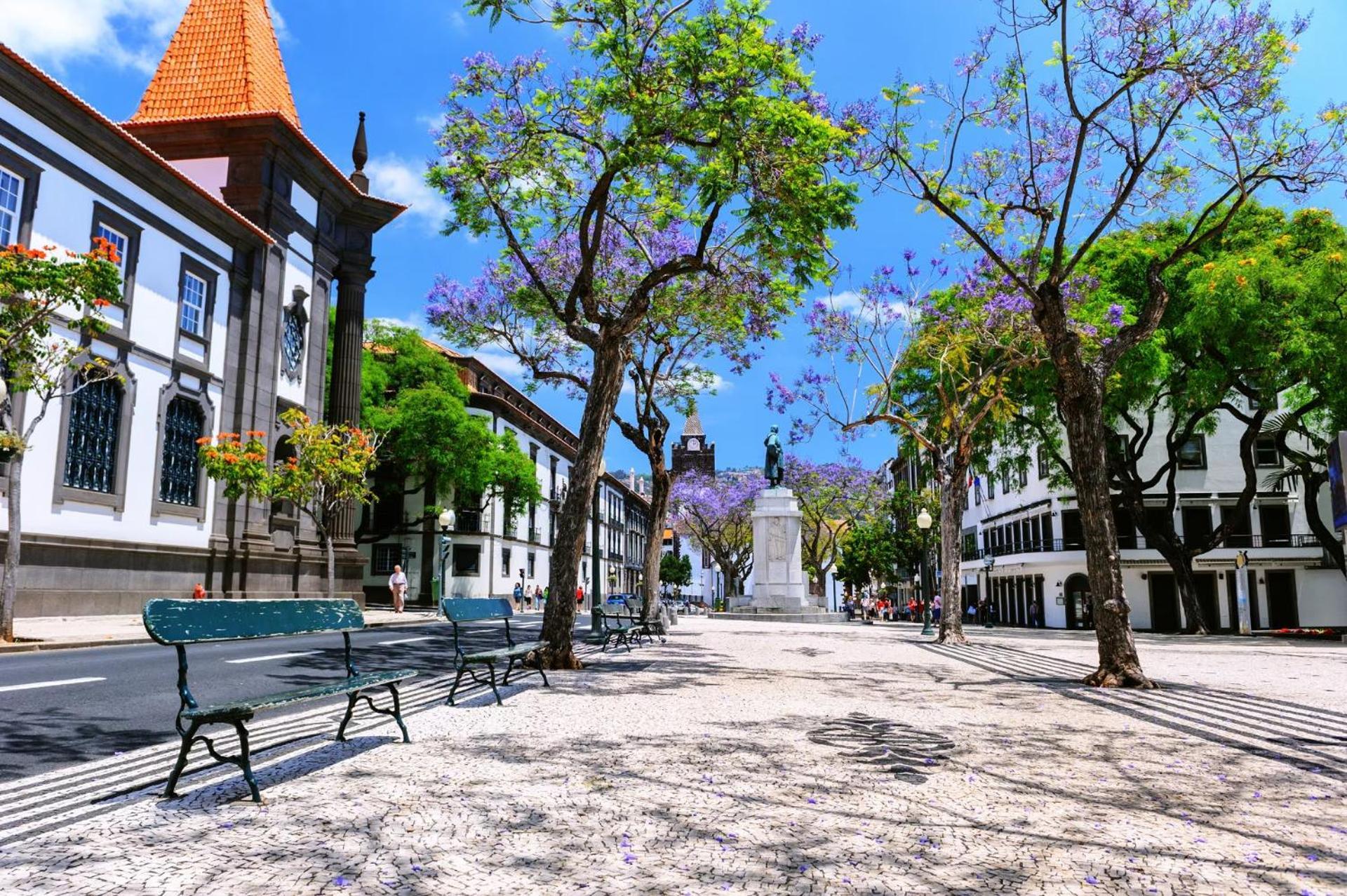 Stylish Apartment With Balcony And Amazing Views Over Funchal And The Sea Exteriér fotografie